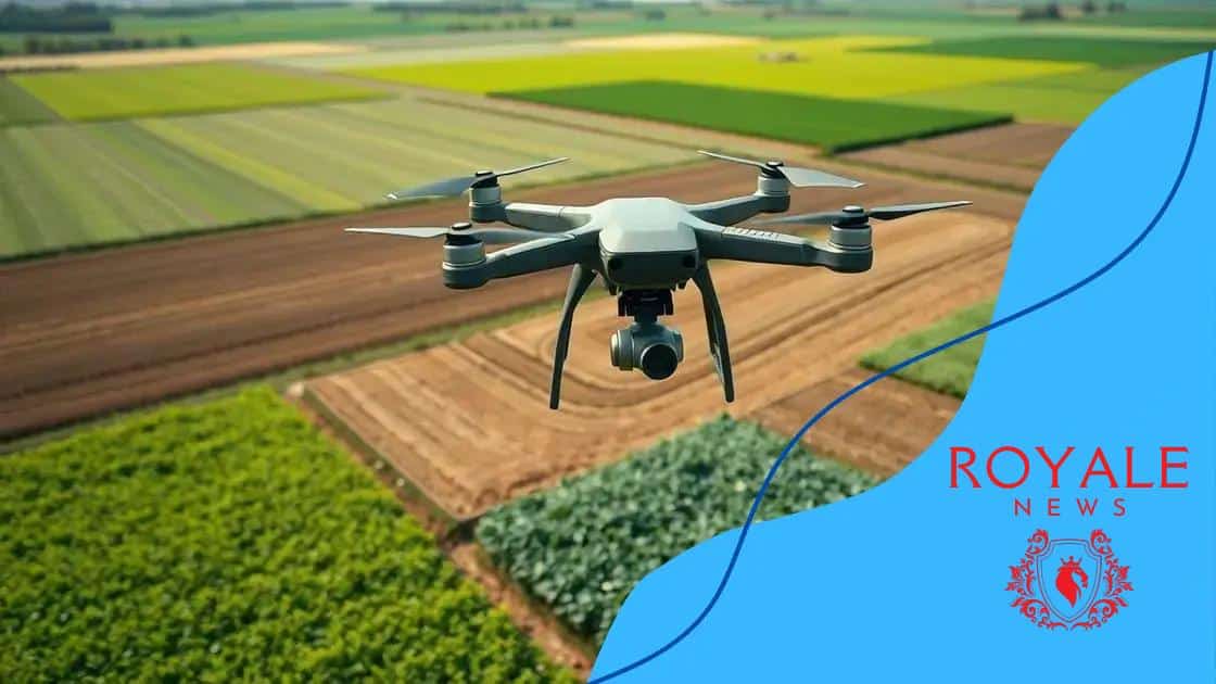 Enhancing precision agriculture with drones